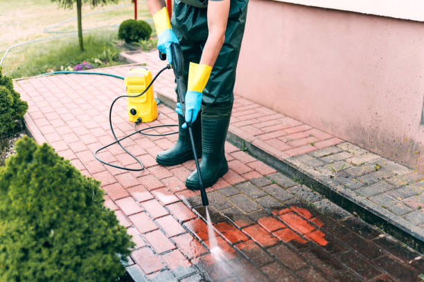 Best Sidewalk Pressure Washing  in Pamplico, SC