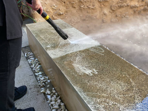 Best Roof Power Washing Services  in Pamplico, SC