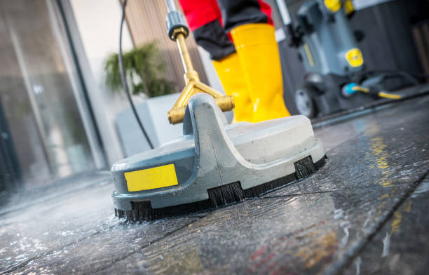 Best Pressure Washing Near Me  in Pamplico, SC