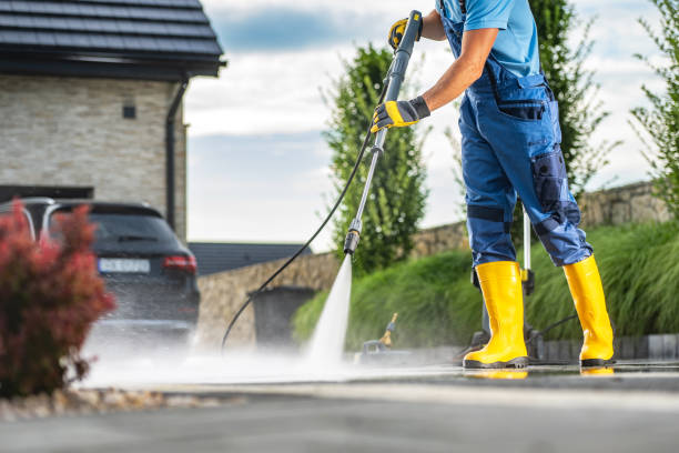 Best Roof Pressure Washing  in Pamplico, SC