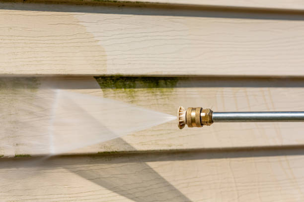 Best Deck Pressure Washing  in Pamplico, SC