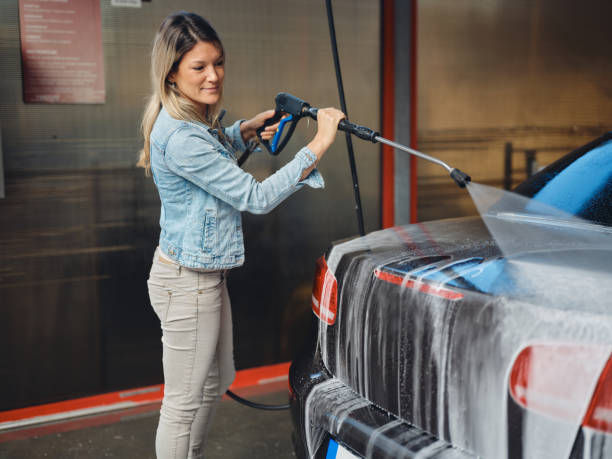 Best House Pressure Washing  in Pamplico, SC