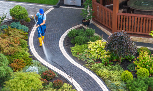 Best Local Pressure Washing Services  in Pamplico, SC