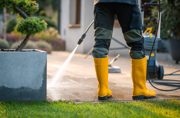 Best Pressure Washing Services for Businesses  in Pamplico, SC